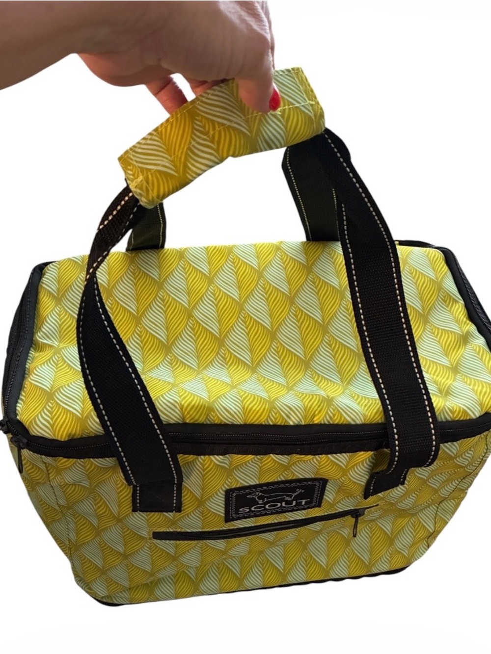 Like New Scout Bags The Stiff One Winging It Soft Cooler. 14.25"x12.5"x9.25"